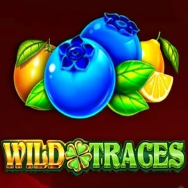 Play Wild Traces slot by Amusnet Interactive on leonkazino.eu