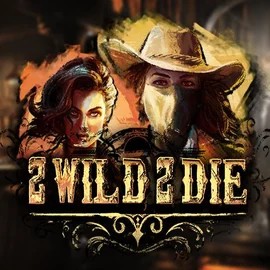 Play the 2 Wild 2 Die slot by Hacksaw Gaming on Leon Casino